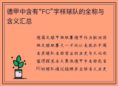 德甲中含有“FC”字样球队的全称与含义汇总
